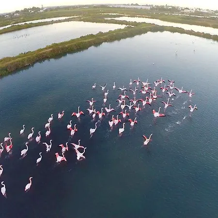 Real Marina Appartement *